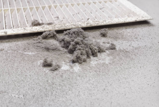 Best Air Duct Cleaning Company Near Me  in Campton Hls, IL