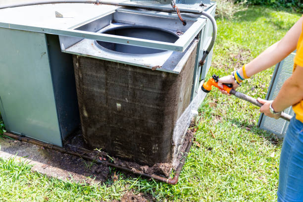 Best Air Duct Mold Removal  in Campton Hls, IL