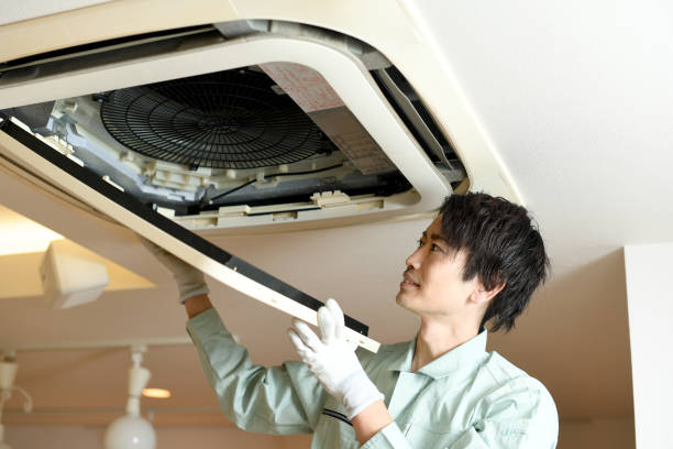 Air Duct Mold Removal in IL